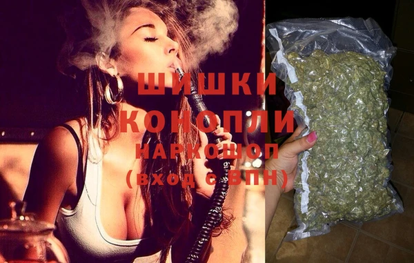 ECSTASY Ельня