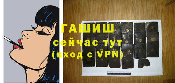 дмт Дмитров