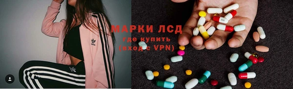 гашик Дмитровск