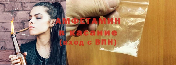 дмт Дмитров
