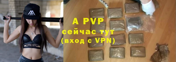 гашик Дмитровск