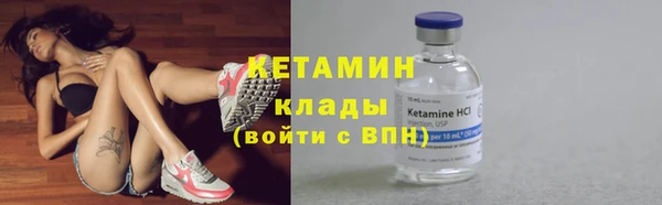 дмт Дмитров