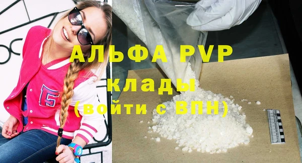 гашик Дмитровск