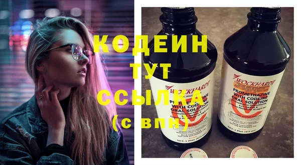 дмт Дмитров
