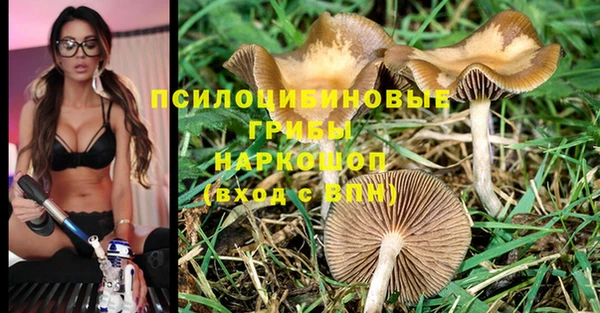 соль ск Елизово