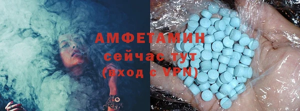 ECSTASY Ельня