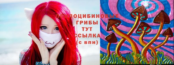гашик Дмитровск
