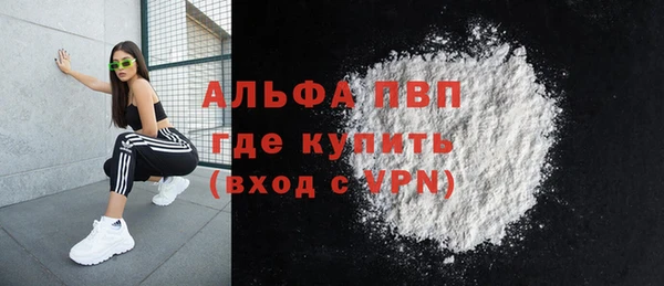 дмт Дмитров