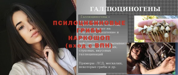 гашик Дмитровск