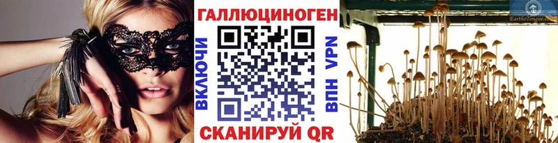 Псилоцибиновые грибы Cubensis Мензелинск