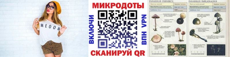 Купить закладки  Мензелинск  Псилоцибиновые грибы Magic Shrooms 