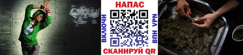 Купить где Мензелинск Канабис конопля